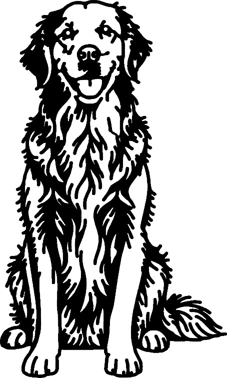 Golden retriever line-art wall piece