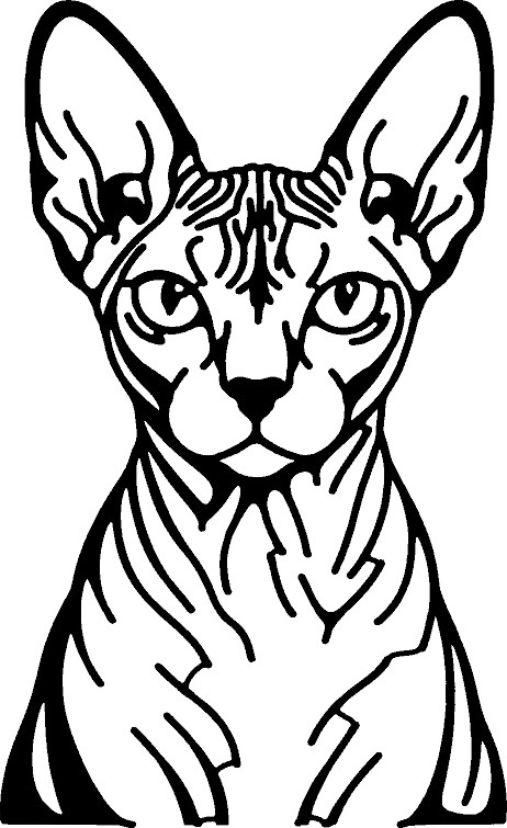Sphynx cat line-art wall piece